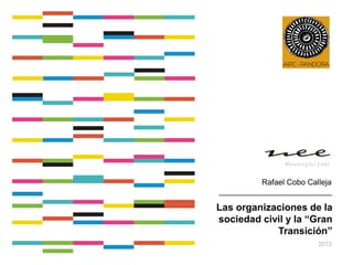 Rafael Cobo Calleja

Las organizaciones de la
sociedad civil y la “Gran
Transición”
2013

 