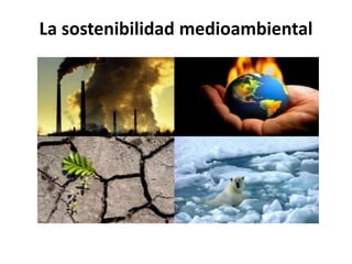 La sostenibilidad medioambiental
 