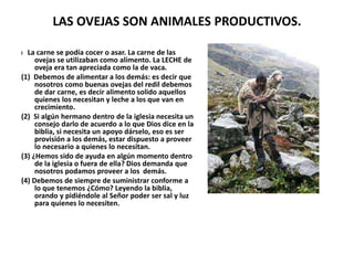 LAS OVEJAS SON ANIMALES PRODUCTIVOS.
I La carne se podía cocer o asar. La carne de las
ovejas se utilizaban como alimento. La LECHE de
oveja era tan apreciada como la de vaca.
(1) Debemos de alimentar a los demás: es decir que
nosotros como buenas ovejas del redil debemos
de dar carne, es decir alimento solido aquellos
quienes los necesitan y leche a los que van en
crecimiento.
(2) Si algún hermano dentro de la iglesia necesita un
consejo darlo de acuerdo a lo que Dios dice en la
biblia, si necesita un apoyo dárselo, eso es ser
provisión a los demás, estar dispuesto a proveer
lo necesario a quienes lo necesitan.
(3) ¿Hemos sido de ayuda en algún momento dentro
de la iglesia o fuera de ella? Dios demanda que
nosotros podamos proveer a los demás.
(4) Debemos de siempre de suministrar conforme a
lo que tenemos ¿Cómo? Leyendo la biblia,
orando y pidiéndole al Señor poder ser sal y luz
para quienes lo necesiten.
 