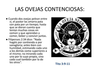 LAS OVEJAS CONTENCIOSAS:
● Cuando dos ovejas pelean entre
sí, el pastor las amarra pata
con pata por un tiempo; hasta
que se dieran cuenta que
tenían muchas cosas en
común y que aprendan a
comer, beber y convivir juntas.
● Filipenses 2:34 dice: “Nada
hagáis por contienda o por
vanagloria; antes bien con
humildad, estimando cada uno
a los demás como superiores a
el mismo; no mirando cada
uno por lo suyo propio, sino
cada cual también por lo de
los otros”.
Tito 3:9-11
 