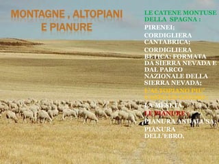 MONTAGNE , ALTOPIANI
E PIANURE
LE CATENE MONTUSE
DELLA SPAGNA :
PIRENEI;
CORDIGLIERA
CANTABRICA;
CORDIGLIERA
BETICA: FORMATA
DA SIERRA NEVADA E
DAL PARCO
NAZIONALE DELLA
SIERRA NEVADA;
L’ALTOPIANO PIU’
VASTO ED ESTESO :
LA MESETA.
LE PIANURE :
PIANURA ANDALUSA;
PIANURA
DELL’EBRO.
 