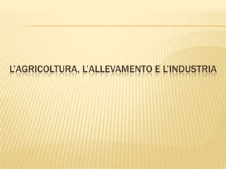 L’AGRICOLTURA, L’ALLEVAMENTO E L’INDUSTRIA
 