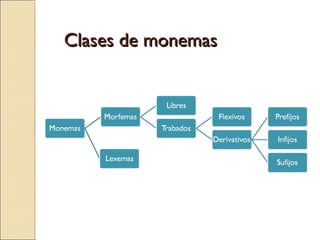 Clases de monemas
 