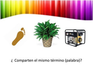 ¿	Comparten el mismotérmino(palabra)?
