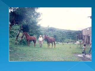 Las palabras que don gelo nos dice...