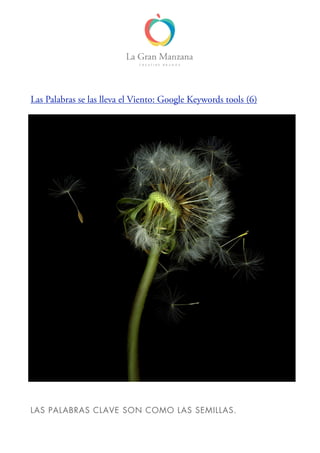 Las Palabras se las lleva el Viento: Google Keywords tools (6)
LAS PALABRAS CLAVE SON COMO LAS SEMILLAS.
 