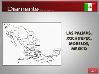LAS PALMAS,LAS PALMAS,
XOCHITEPEC,XOCHITEPEC,
MORELOS,MORELOS,
MEXICOMEXICO
C027
Morelo
s
 