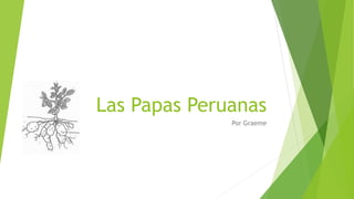 Las Papas Peruanas
Por Graeme
 