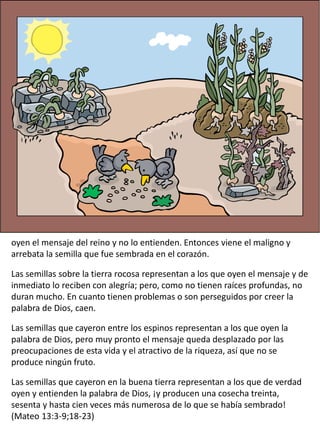 oyen el mensaje del reino y no lo entienden. Entonces viene el maligno y
arrebata la semilla que fue sembrada en el corazón.
Las semillas sobre la tierra rocosa representan a los que oyen el mensaje y de
inmediato lo reciben con alegría; pero, como no tienen raíces profundas, no
duran mucho. En cuanto tienen problemas o son perseguidos por creer la
palabra de Dios, caen.
Las semillas que cayeron entre los espinos representan a los que oyen la
palabra de Dios, pero muy pronto el mensaje queda desplazado por las
preocupaciones de esta vida y el atractivo de la riqueza, así que no se
produce ningún fruto.
Las semillas que cayeron en la buena tierra representan a los que de verdad
oyen y entienden la palabra de Dios, ¡y producen una cosecha treinta,
sesenta y hasta cien veces más numerosa de lo que se había sembrado!
(Mateo 13:3-9;18-23)
 