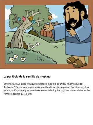 La parábola de la semilla de mostaza
Entonces Jesús dijo: «¿A qué se parece el reino de Dios? ¿Cómo puedo
ilustrarlo? Es como una pequeña semilla de mostaza que un hombre sembró
en un jardín; crece y se convierte en un árbol, y los pájaros hacen nidos en las
ramas». (Lucas 13:18-19)
 