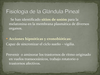Se han identificado  sitios de unión  para la melatonina en la membrana plasmática de diversos organos. Acciones hipnóticas y cronobióticas: Capaz de sincronizar el ciclo sueño – vigilia. Prevenir  o aminorar los trastornos de ritmo originado en vuelos transoceánicos, trabajo rotatorio o trastornos afectivos. 