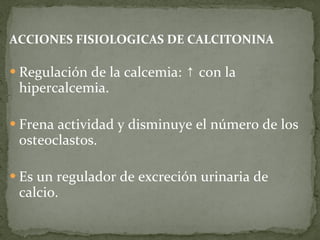 ACCIONES FISIOLOGICAS DE CALCITONINA Regulación de la calcemia:  ↑ con la hiper calcemia. Frena actividad y disminuye el número de los osteoclastos. Es un regulador de excreción urinaria de calcio. 
