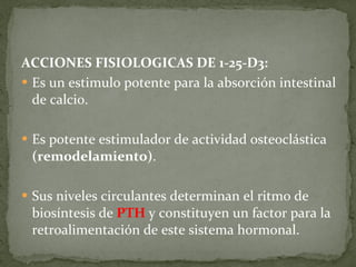 ACCIONES FISIOLOGICAS DE 1-25-D3: Es un estimulo potente para la absorción intestinal de calcio. Es potente estimulador de actividad osteoclástica  (remodelamiento) . Sus niveles circulantes determinan el ritmo de biosíntesis de   PTH   y constituyen un factor para la retroalimentación de este sistema hormonal.     
