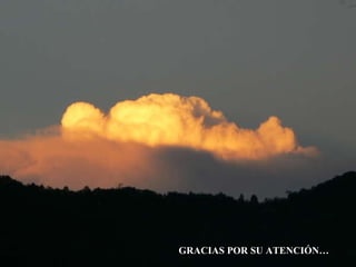 GRACIAS POR SU ATENCIÓN… 