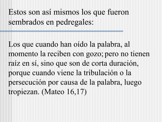 Los que cuando han oído la palabra, al
momento la reciben con gozo;pero no tienen
raíz en sí, sino que son de corta duración,
porque cuando viene la tribulación o la
persecución por causa de la palabra, luego
tropiezan. (Mateo 16,17)
Estos son así mismos los que fueron
sembrados en pedregales:
 