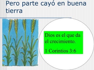 Pero parte cayó en buena
tierra
Dios es el que da
el crecimiento.
1 Corintios 3:6
 