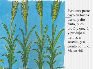 Pero otra parte
cayó en buena
tierra, y dio
fruto, pues
brotó y creció,
y produjo a
treinta, a
sesenta, y a
ciento por uno.
Mateo 4:8
 