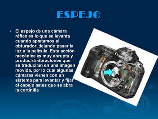 ESPEJO El espejo de una cámara réflex es lo que se levanta cuando apretamos el obturador, dejando pasar la luz a la película. Esta acción mecánica es muy abrupta y producirá vibraciones que se traducirán en una imagen movida, por lo cual algunas cámaras vienen con un sistema para levantar y fijar el espejo antes que se abra la cortinilla 