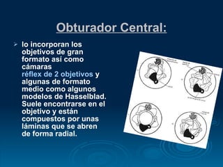 Obturador Central: lo incorporan los objetivos de gran formato así como cámaras  réflex de 2 objetivos  y algunas de formato medio como algunos modelos de Hasselblad. Suele encontrarse en el objetivo y están compuestos por unas láminas que se abren de forma radial.   