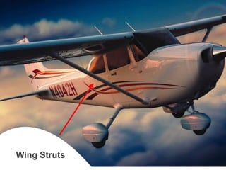 Wing Struts  