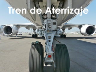 Tren de Aterrizaje  