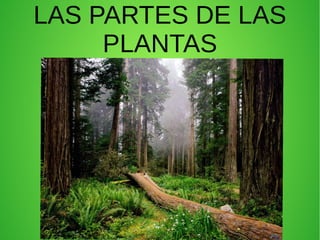 LAS PARTES DE LAS
PLANTAS
 