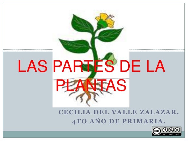 partes de la
