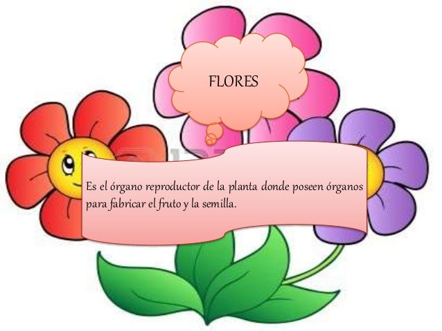 partes de la