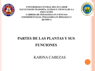 UNIVERSIDAD CENTRAL DEL ECUADOR
FACULTAD DE FILOSOFÍA, LETRAS Y CIENCIA DE LA
EDUCACIÓN
CARRERA DE PEDAGOGIA EN CIENCIAS
EXPERIMENTALES, PEDAGODIA EN BIOLOGIA Y
QUIMICA
PARTES DE LAS PLANTAS Y SUS
FUNCIONES
KARINA CABEZAS
 