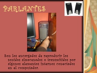 PARLANTES Son los encargados de reproducir los sonidos almacenados o transmitidos por algunos elementos internos conectados en el computador. 