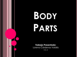 BODY
PARTS
  Trabajo Presentado:
Lorena Cárdenas Valdés
          11-1
 