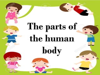 The parts of
the human
body
 