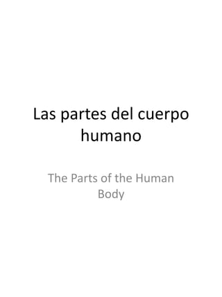 Las partes del cuerpo
humano
The Parts of the Human
Body

 