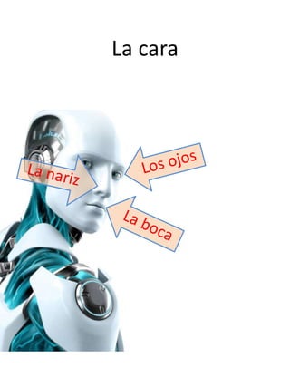La cara