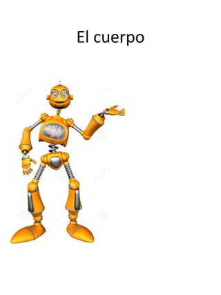 El cuerpo