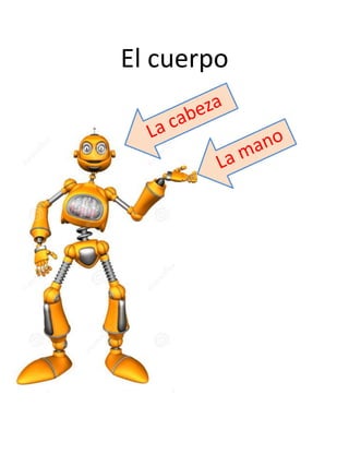 El cuerpo