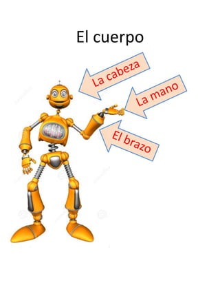 El cuerpo