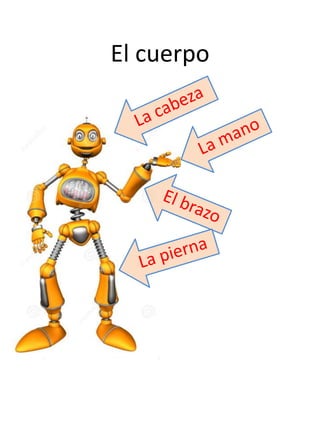 El cuerpo