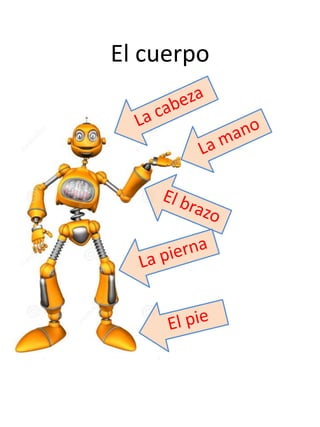 El cuerpo