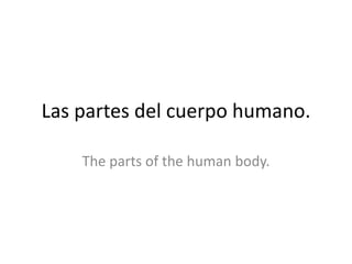 Las partes del cuerpo humano.
The parts of the human body.

 