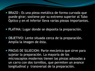  BRAZO : Es una pieza metálica de forma curvada que 
puede girar; sostiene por su extremo superior al Tubo 
Óptico y en el inferior lleva varias piezas importantes. 
 PLATINA: Lugar donde se deposita la preparación. 
 OBJETIVO: Lente situada cerca de la preparación. 
Amplía la imagen de ésta. 
 PINZAS DE SUJECION: Parte mecánica que sirve para 
sujetar la preparación. La mayoría de los 
microscopios modernos tienen las pinzas adosadas a 
un carro con dos tornillos, que permiten un avance 
longitudinal y transversal de la preparación. 
 