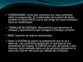  CONDENSADOR: Lente que concentra los rayos luminosos 
sobre la preparación. El condensador de la parte de abajo 
también se llama FOCO y es el que dirige los rayos luminosos 
hacia el condensador. 
 TORNILLOS DE ENFOQUE: Micrométrico que aproxima el 
enfoque y micrométrico que consigue el enfoque correcto. 
 BASE: Sujeción de todo el microscopio. 
 Sobre la PLATINA se coloca la preparación que se va a 
observar con un Orificio central por el que pasa la Luz 
procedente del Espejo. El ESPEJO con una cara plana y otra 
cóncava, está montado sobre un eje giratorio ubicado en la 
zona más inferior del brazo por debajo de la Platina. 
 