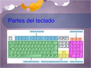 Partes del teclado
 