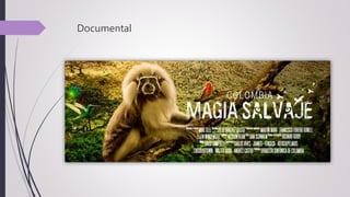 Documental
 