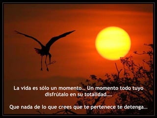 La vida es sólo un momento… Un momento todo tuyo disfrútalo en su totalidad…. Que nada de lo que crees que te pertenece te detenga… 