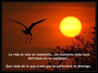 La vida es sólo un momento… Un momento todo tuyo
              disfrútalo en su totalidad….

Que nada de lo que crees que te pertenece te detenga…
 