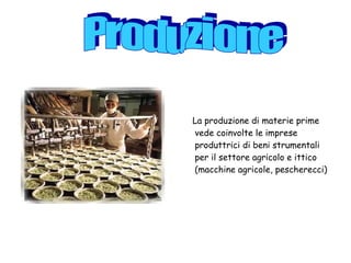 La produzione di materie prime vede coinvolte le imprese produttrici di beni strumentali per il settore agricolo e ittico (macchine agricole, pescherecci) Produzione 