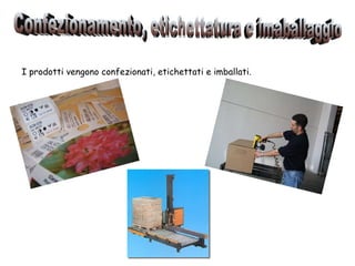 I prodotti vengono confezionati, etichettati e imballati. Confezionamento, etichettatura e imaballaggio 