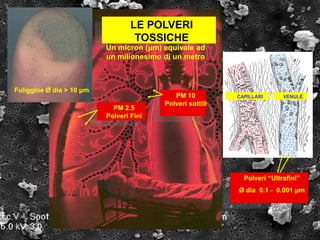LE POLVERI
TOSSICHE
Un micron (μm) equivale ad
un milionesimo di un metro
PM 2.5
Polveri Fini
PM 10
Polveri sottili
CAPILLARI VENULE
Polveri “Ultrafini”
Ø dia 0.1 - 0.001 μm
Fuliggine Ø dia > 10 μm
GGISDEE
 