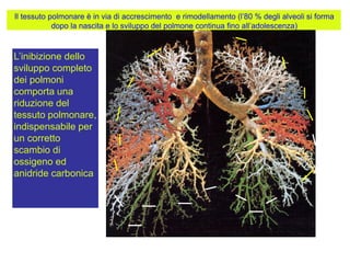 L‟inibizione dello
sviluppo completo
dei polmoni
comporta una
riduzione del
tessuto polmonare,
indispensabile per
un corretto
scambio di
ossigeno ed
anidride carbonica
Il tessuto polmonare è in via di accrescimento e rimodellamento (l‟80 % degli alveoli si forma
dopo la nascita e lo sviluppo del polmone continua fino all‟adolescenza)
 